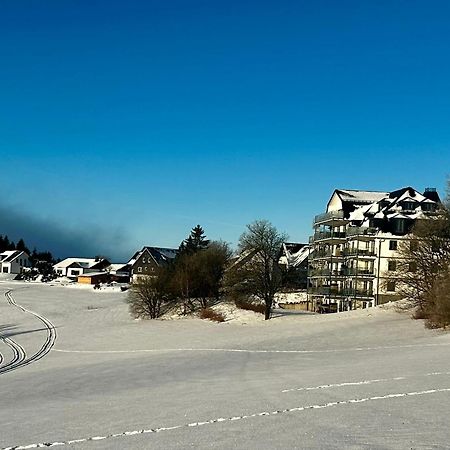 Astenblick Apartments Winterberg With Sauna Екстериор снимка