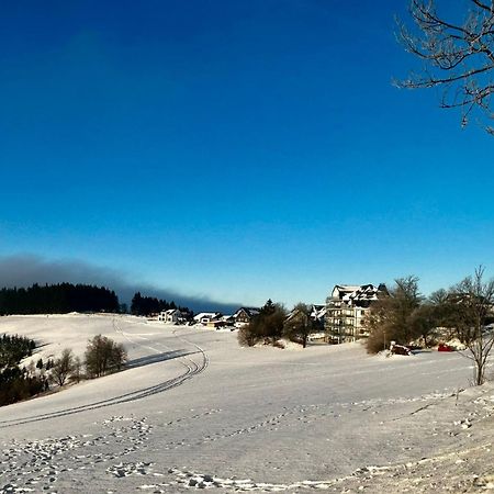 Astenblick Apartments Winterberg With Sauna Екстериор снимка