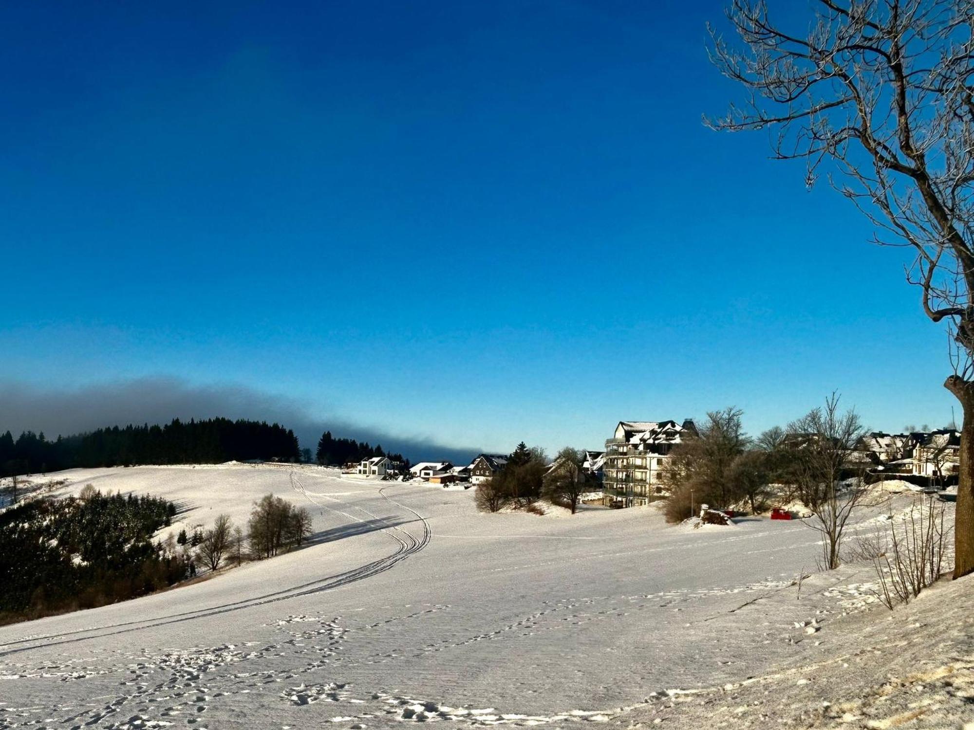 Astenblick Apartments Winterberg With Sauna Екстериор снимка