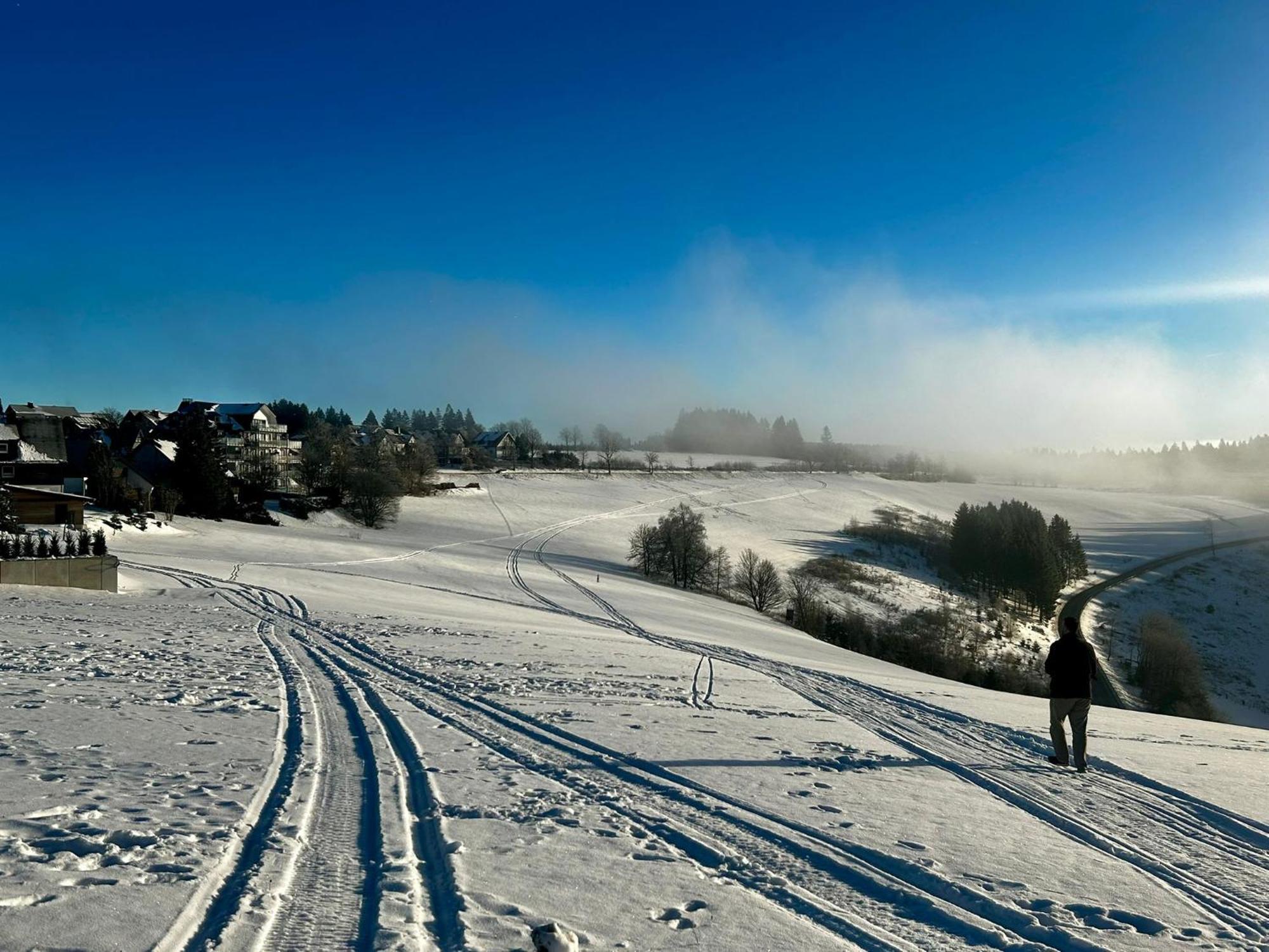 Astenblick Apartments Winterberg With Sauna Екстериор снимка